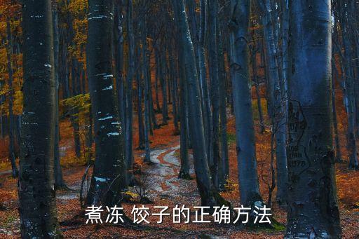煮凍 餃子的正確方法