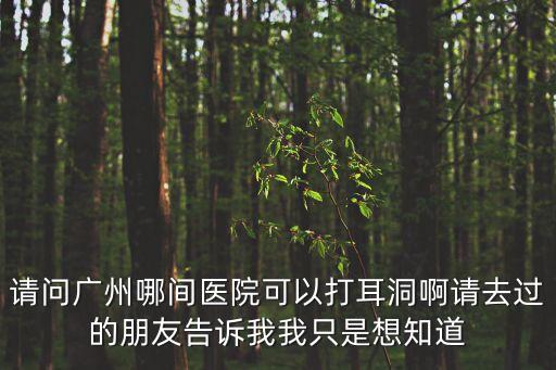 請問廣州哪間醫(yī)院可以打耳洞啊請去過的朋友告訴我我只是想知道