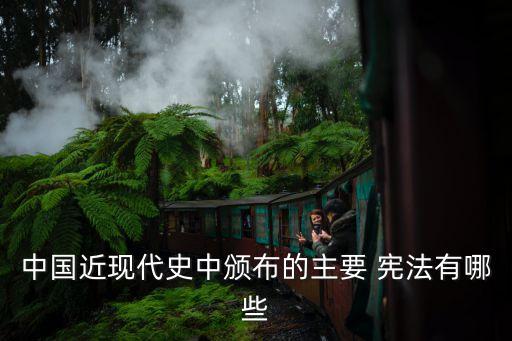 賄選憲法,回顧（四）:新中國的成立