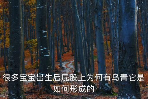 蒙古斑,蒙古斑是什么來頭?