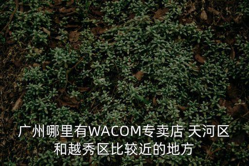 廣州哪里有WACOM專賣店 天河區和越秀區比較近的地方