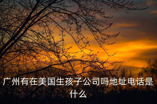 廣州有在美國生孩子公司嗎地址電話是什么