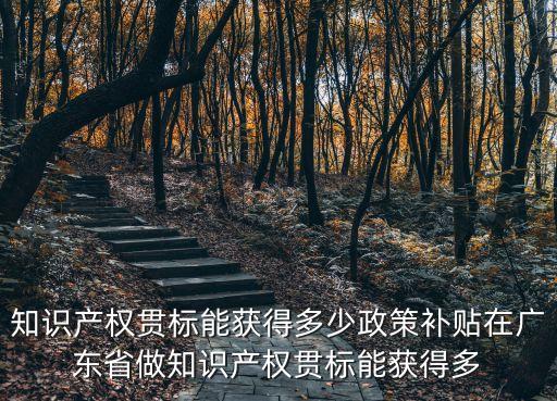 廣州市貫標資助，貫標補助是不是真的做貫標對公司有什么好處