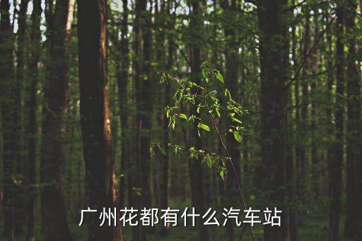 廣州花都有什么汽車站