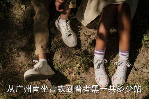 從廣州南坐高鐵到普者黑一共多少站