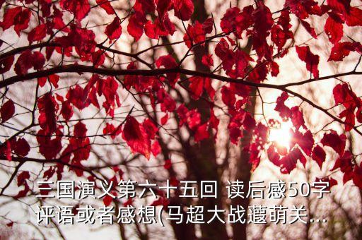 三國(guó)演義讀后感50字,第六十五回讀后感