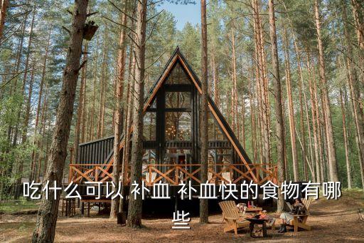 吃什么可以 補(bǔ)血 補(bǔ)血快的食物有哪些