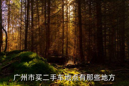廣州市買二手車地點有那些地方
