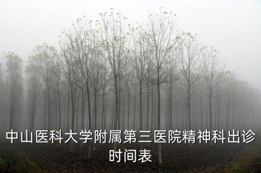 中山醫科大學附屬第三醫院精神科出診時間表
