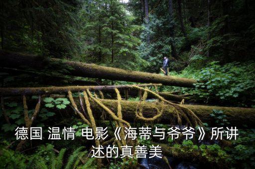 溫情電影,15部日本溫情電影系列推薦:《60歲的情書》