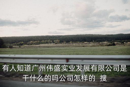 廣州偉盛實業有限公司，廣州市偉盛實業發展有限公司怎么樣