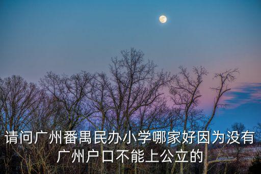 廣州市番禺區私立小學，番禺大石私立小學學校
