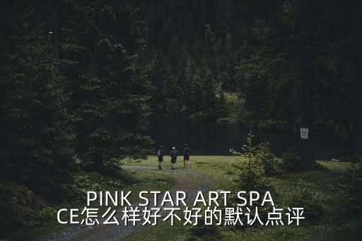 PINK STAR ART SPACE怎么樣好不好的默認點評