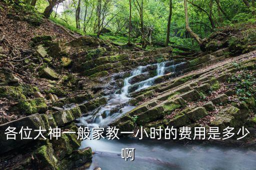 各位大神一般家教一小時的費用是多少啊
