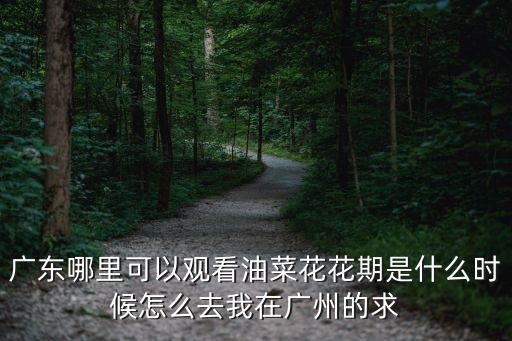 廣東哪里可以觀看油菜花花期是什么時候怎么去我在廣州的求