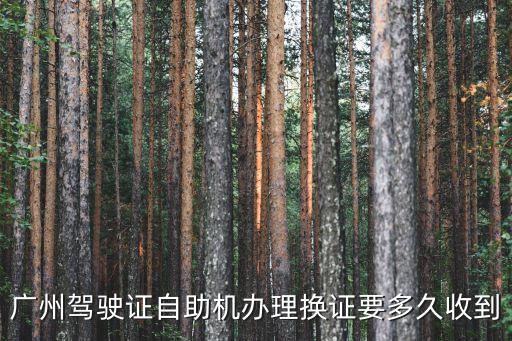 廣州駕駛證自助機(jī)辦理?yè)Q證要多久收到