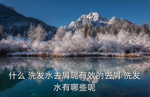 什么 洗發(fā)水去屑呢有效的去屑 洗發(fā)水有哪些呢