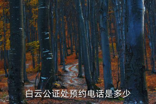 白云公證處預約電話是多少