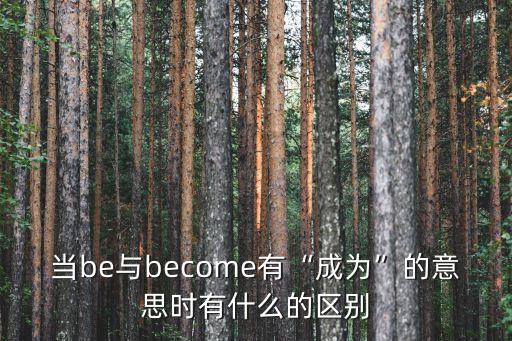 become,已經成為和曾經是之間差別