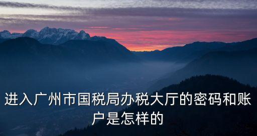 進入廣州市國稅局辦稅大廳的密碼和賬戶是怎樣的