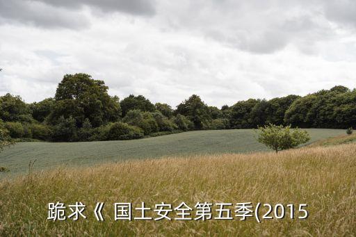 國土安全第六季,《國土安全》第二季奎恩身世第四季尾聲分手