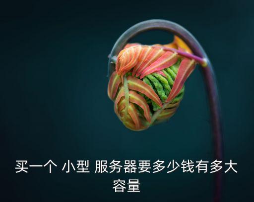 小型服務器,關于小型服務器你必須知道的事