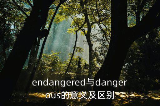 dangrous,最危險的五個星期二