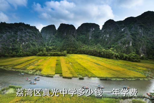 廣州真光國際班學費，廣州市真光中學的收費標準