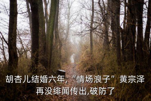 胡杏兒結婚六年,“情場浪子”黃宗澤再沒緋聞傳出,破防了