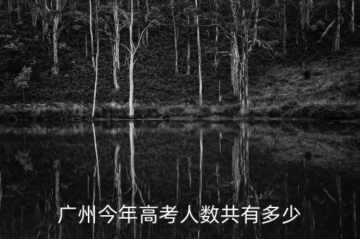 廣州今年高考人數共有多少