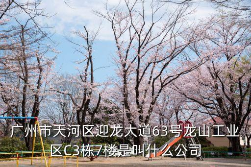 廣州市一哥涂料廠，廣州市天河區(qū)迎龍大道63號(hào)龍山工業(yè)區(qū)C3棟7樓是叫什么公司