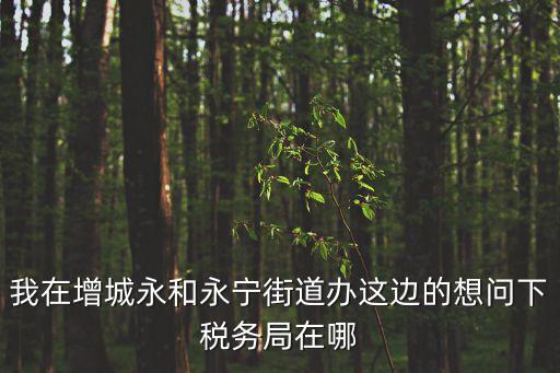 我在增城永和永寧街道辦這邊的想問下稅務(wù)局在哪