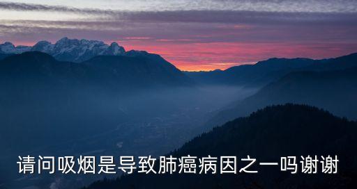 請問吸煙是導(dǎo)致肺癌病因之一嗎謝謝