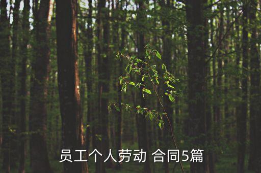  員工個人勞動 合同5篇