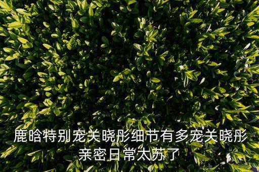 鹿晗特別寵關(guān)曉彤細(xì)節(jié)有多寵關(guān)曉彤親密日常太蘇了