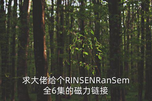 求大佬給個RINSENRanSem全6集的磁力鏈接