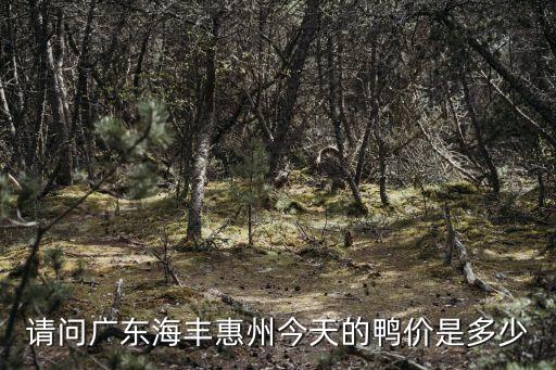 請(qǐng)問(wèn)廣東海豐惠州今天的鴨價(jià)是多少