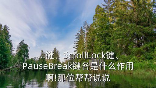 ...鍵、ScrollLock鍵、PauseBreak鍵各是什么作用啊!那位幫幫說說