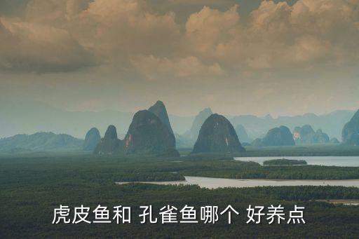 虎皮魚和 孔雀魚哪個(gè) 好養(yǎng)點(diǎn)