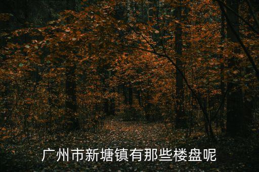 廣州新塘鎮二手房出售，我在廣州新塘有套房子想便宜點出售以交樓還沒出房產證但是我現