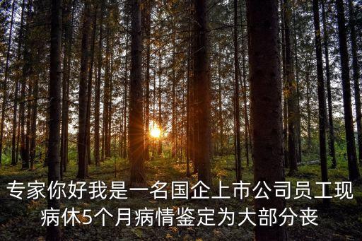 專家你好我是一名國企上市公司員工現病休5個月病情鑒定為大部分喪