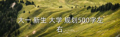  大一 新生 大學 規劃500字左右