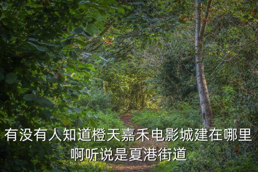 有沒有人知道橙天嘉禾電影城建在哪里啊聽說是夏港街道
