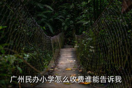 廣州民辦小學怎么收費誰能告訴我