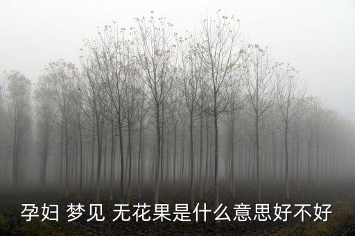 孕婦 夢見 無花果是什么意思好不好