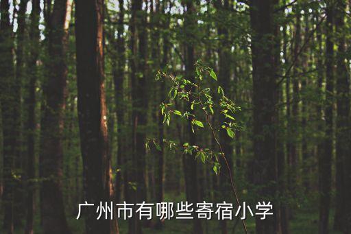 廣州所有寄宿小學，廣州市有哪些寄宿小學