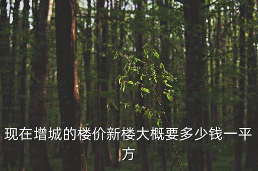 現在增城的樓價新樓大概要多少錢一平方