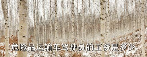 廣州市危化品司機薪酬，廣州貝爾羅斯廠待遇和工資怎么樣