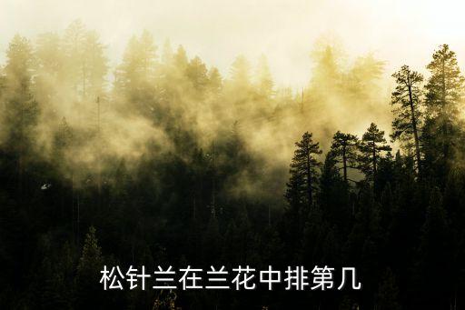 松針蘭在蘭花中排第幾