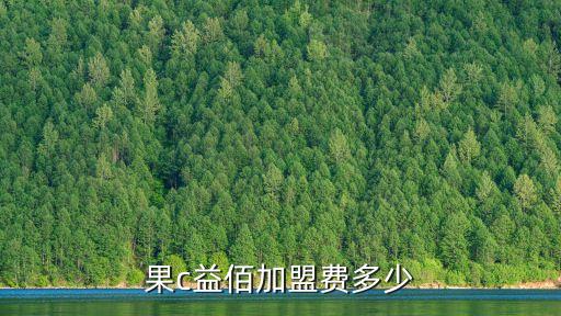 廣州水果杯加盟費多少，大茶杯加盟要多少錢